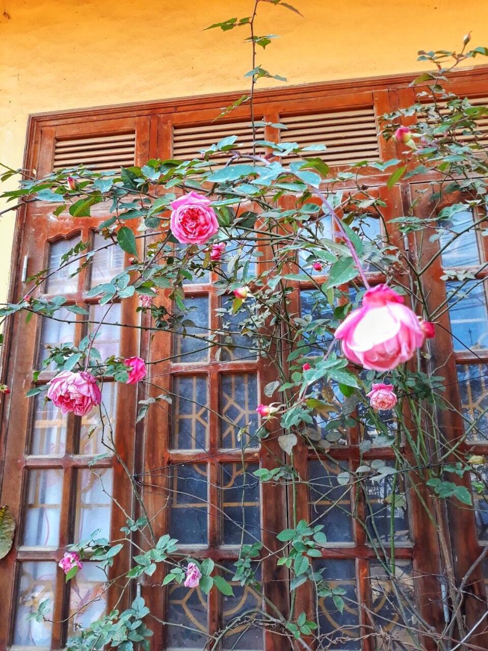 Thanh Ha Homestay Sapa 외부 사진